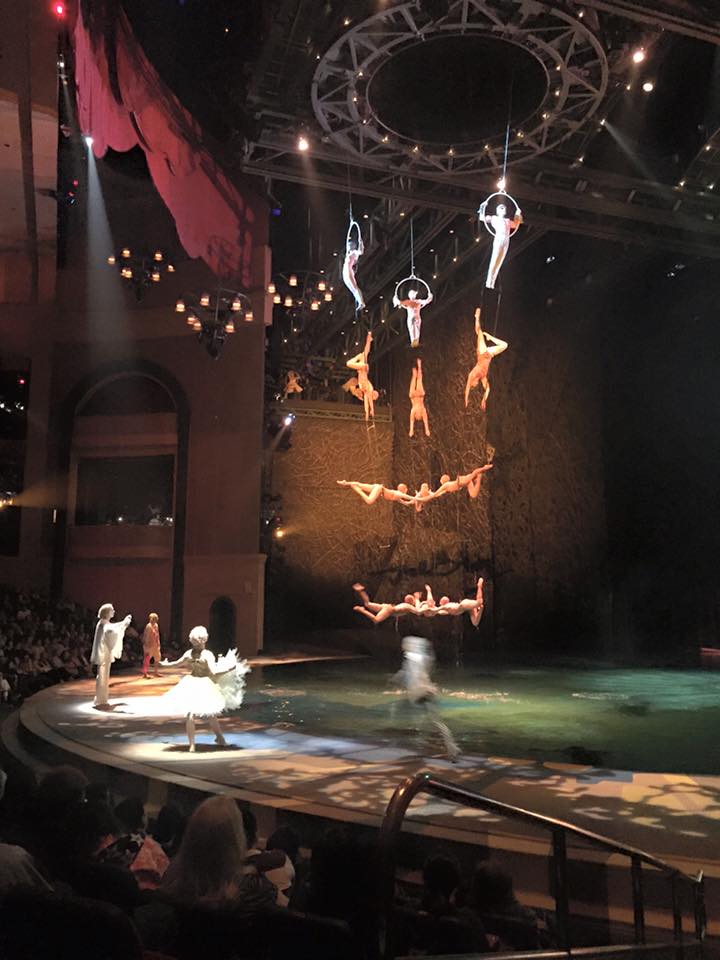 Show O Cirque du Soleil.jpg